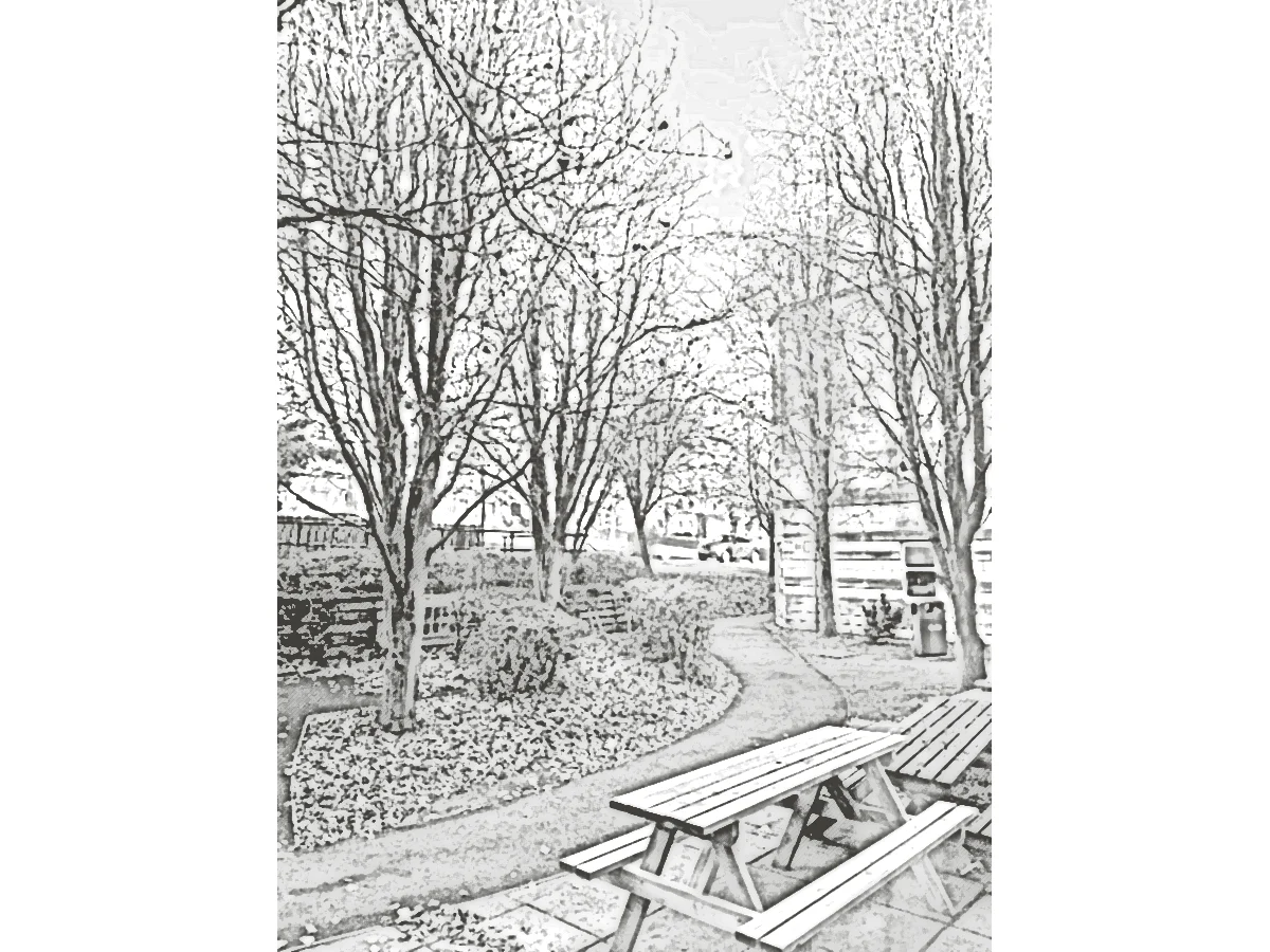 University of Bath campus in autumn